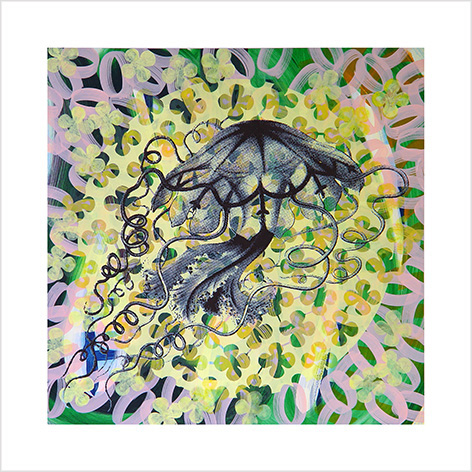 14-80x80 meduse gelb.net2