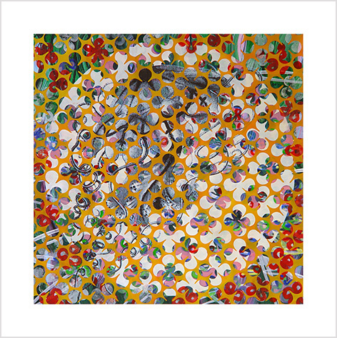 14-80x80 meduse orange.net2