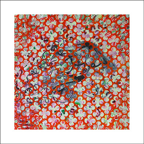 14-80x80 meduse rot.net